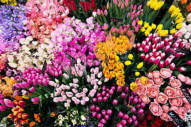 动作恋爱游戏《Eternights》预告 明年年初发售