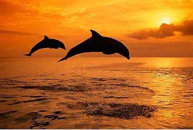 《光与影：33号远征队》角色预告片 莫诺柯篇